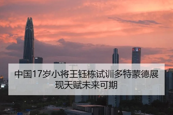 中国17岁小将王钰栋试训多特蒙德展现天赋未来可期